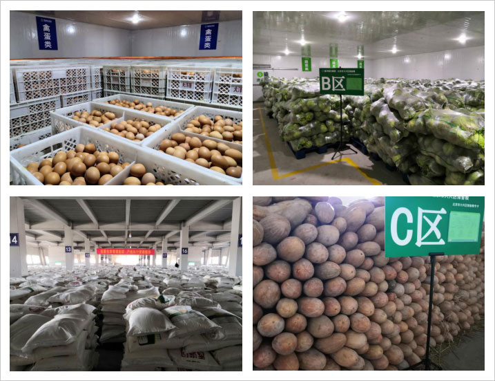 bti������(�й�)�ٷ���վAPP����