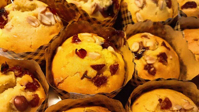 bti������(�й�)�ٷ���վAPP����