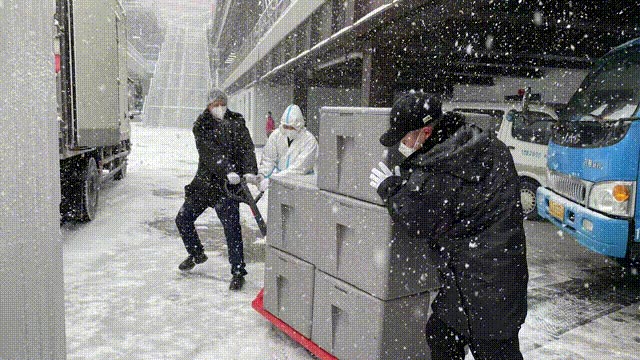 bti������(�й�)�ٷ���վAPP����