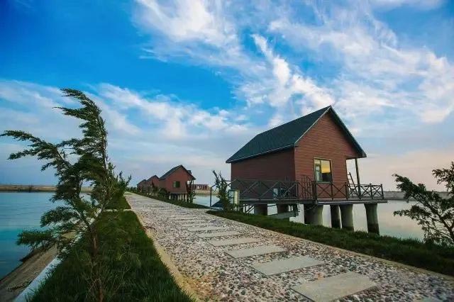 bti������(�й�)�ٷ���վAPP����