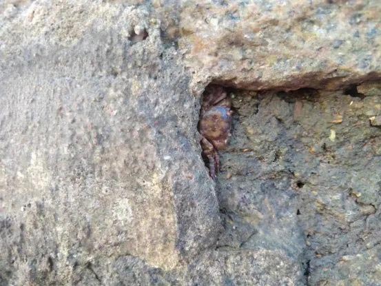 bti������(�й�)�ٷ���վAPP����