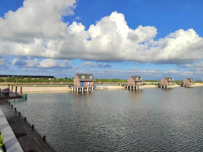 bti������(�й�)�ٷ���վAPP����