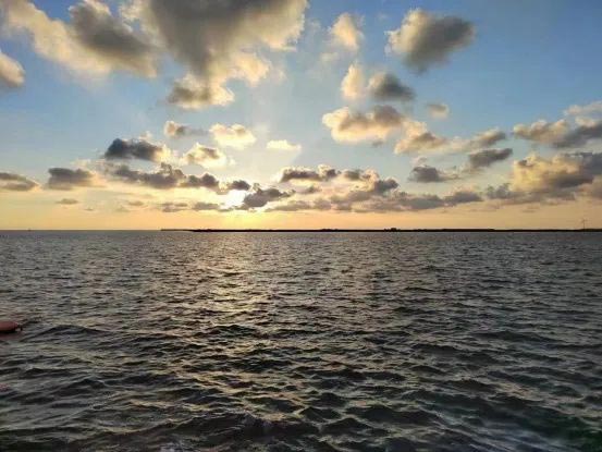 bti������(�й�)�ٷ���վAPP����