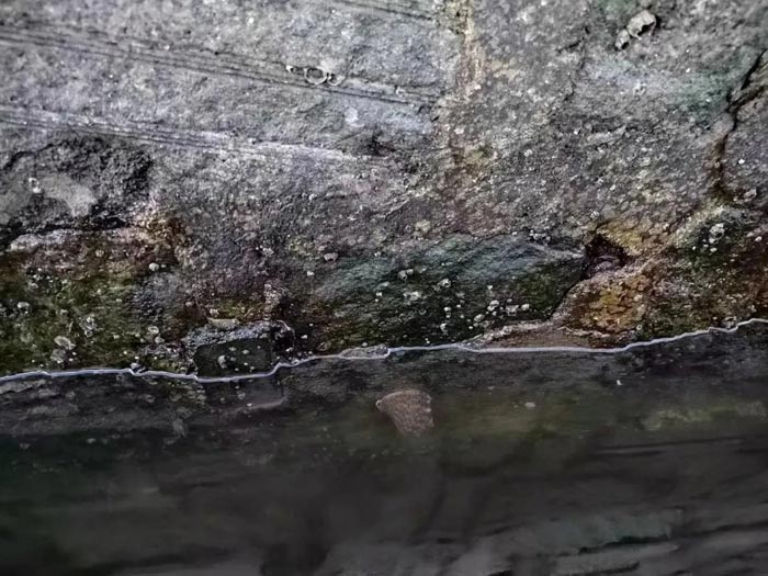 bti������(�й�)�ٷ���վAPP����