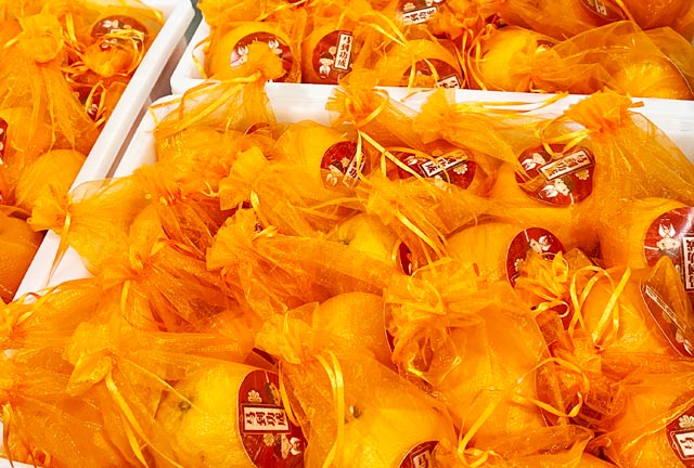 bti������(�й�)�ٷ���վAPP����