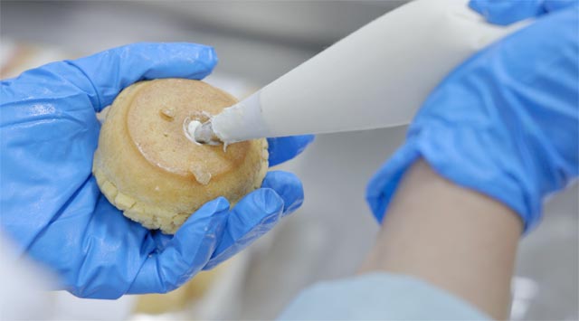 bti������(�й�)�ٷ���վAPP����