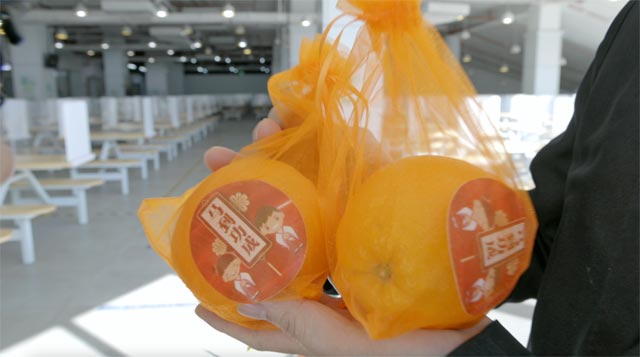 bti������(�й�)�ٷ���վAPP����