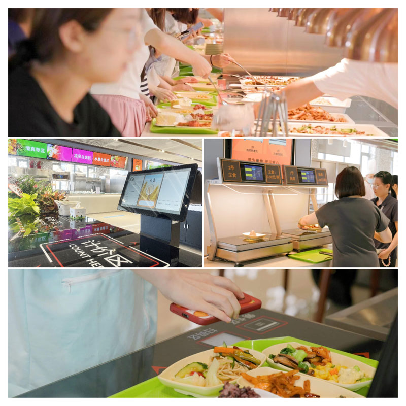 bti������(�й�)�ٷ���վAPP����