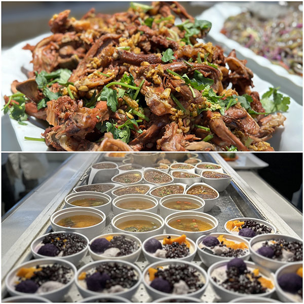 bti������(�й�)�ٷ���վAPP����