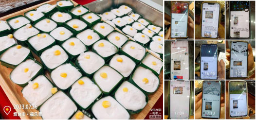 bti������(�й�)�ٷ���վAPP����