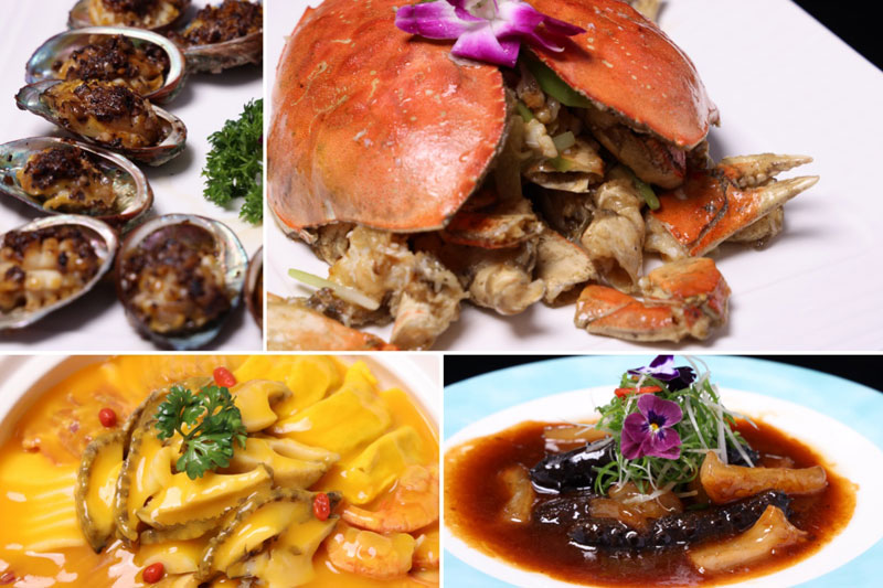 bti������(�й�)�ٷ���վAPP����