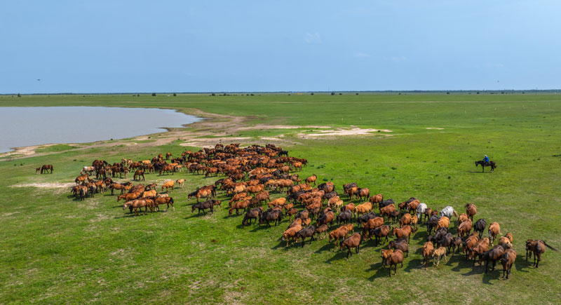 bti������(�й�)�ٷ���վAPP����