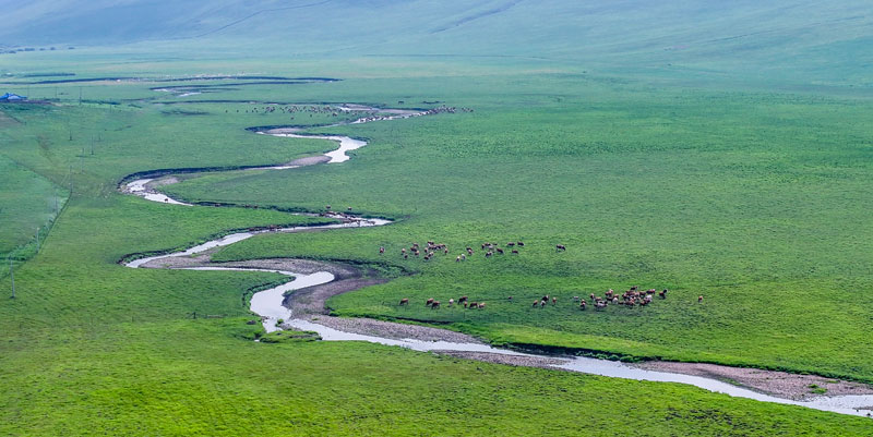 bti������(�й�)�ٷ���վAPP����