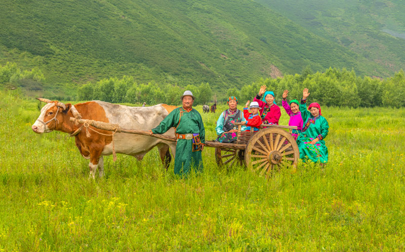 bti������(�й�)�ٷ���վAPP����