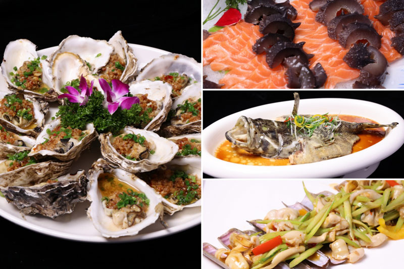 bti������(�й�)�ٷ���վAPP����