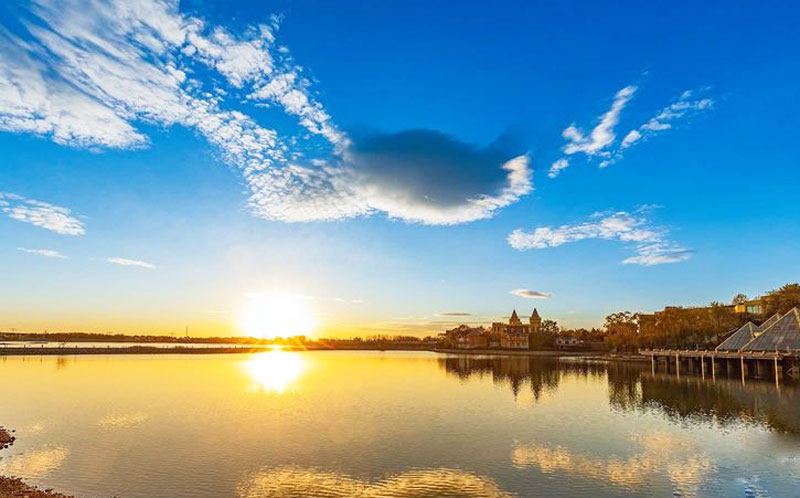 bti������(�й�)�ٷ���վAPP����