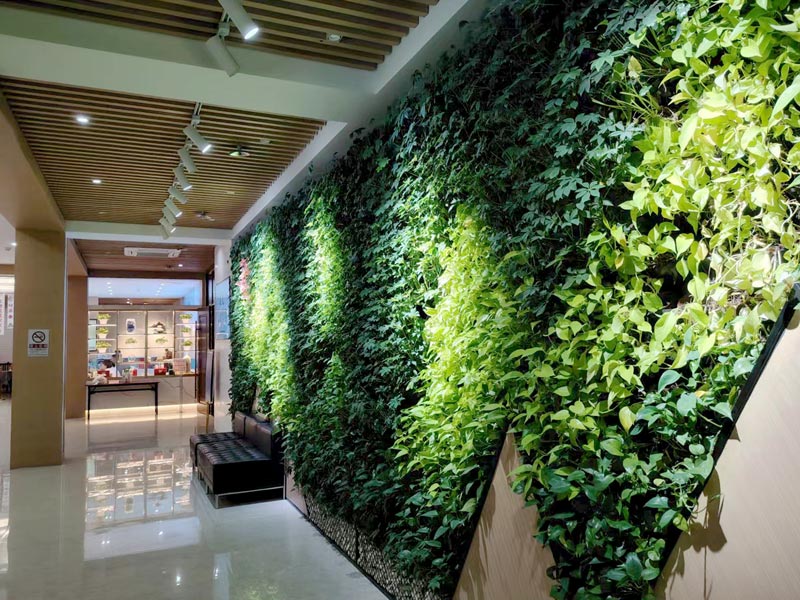 bti������(�й�)�ٷ���վAPP����