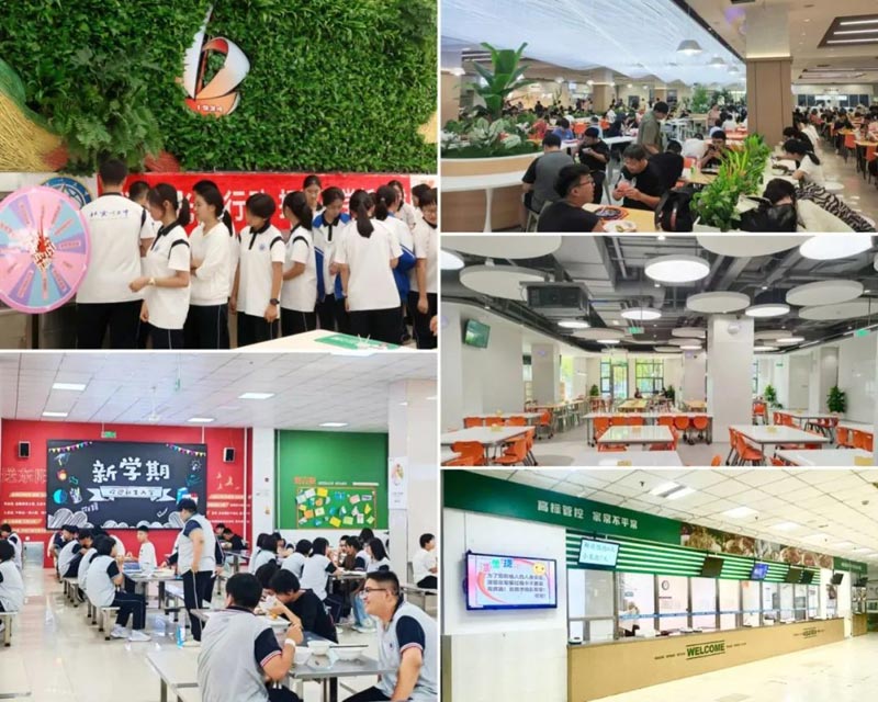 bti������(�й�)�ٷ���վAPP����